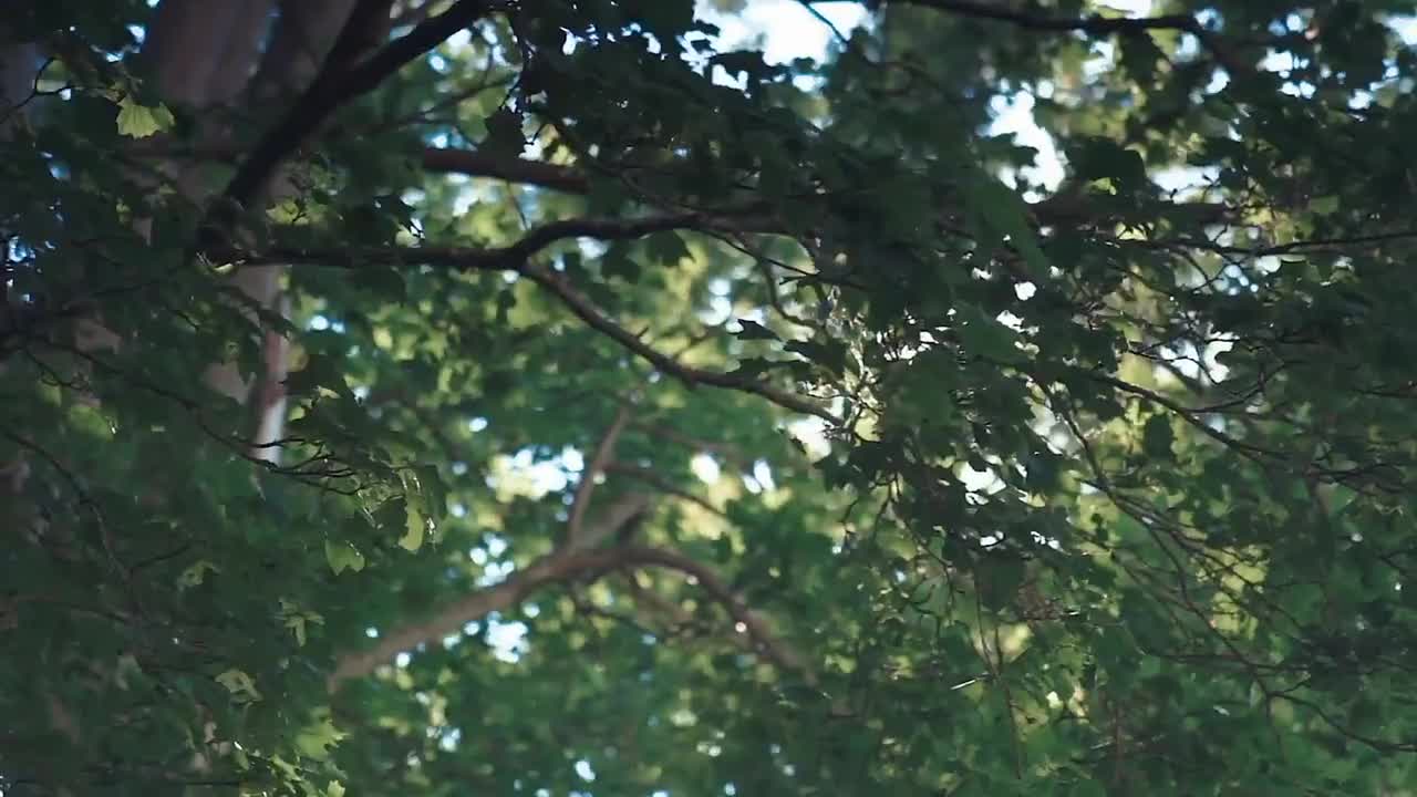 梦然 - 少年