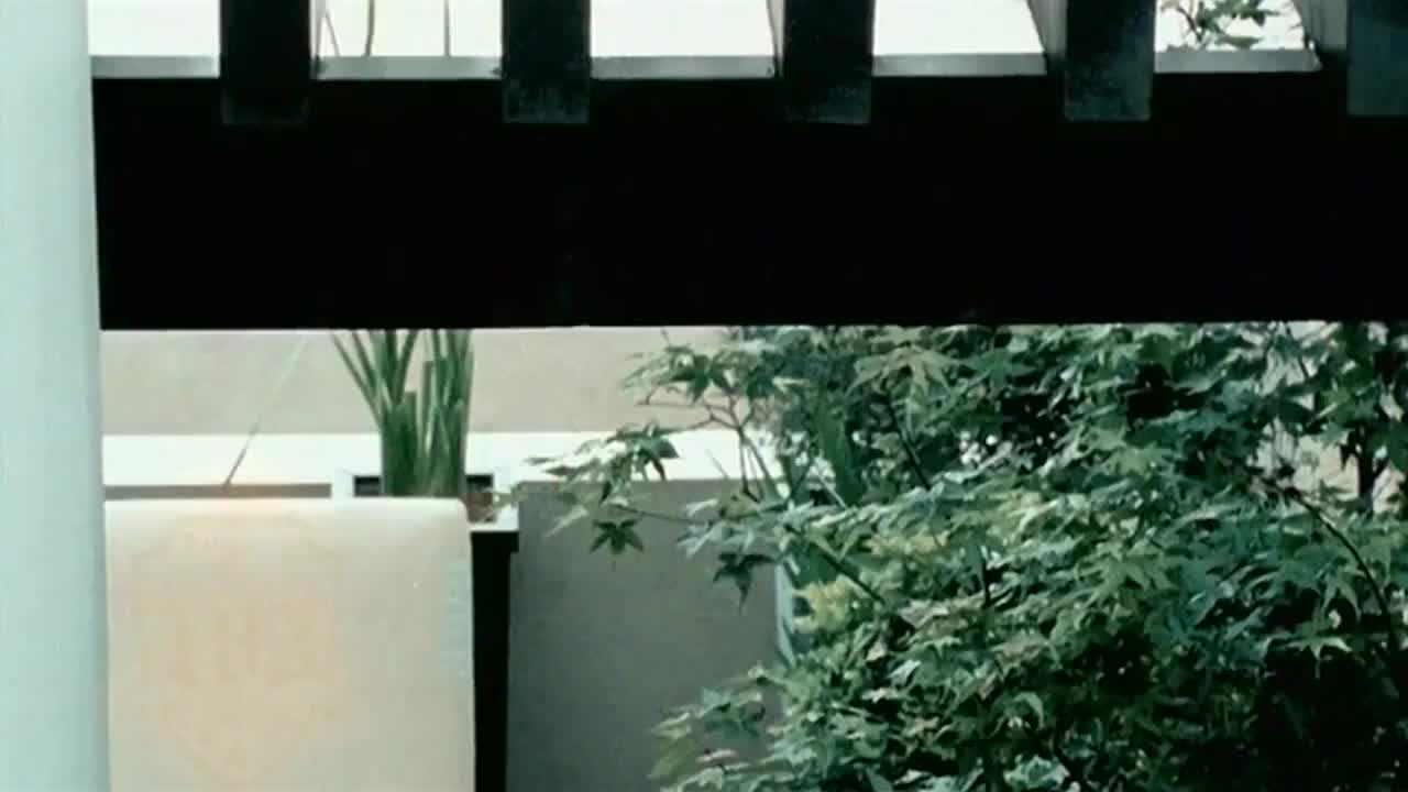 183CLUB - 真爱