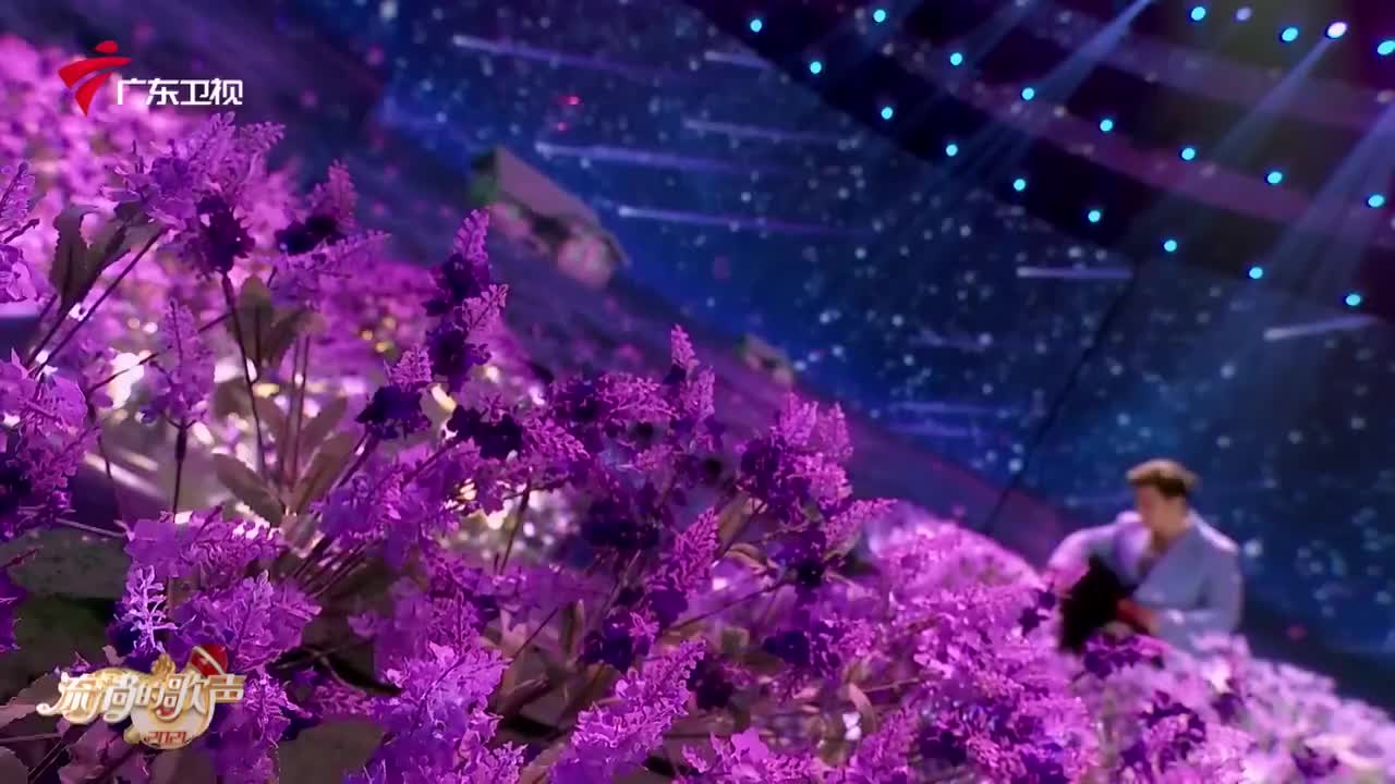 许绍洋 - 花香
