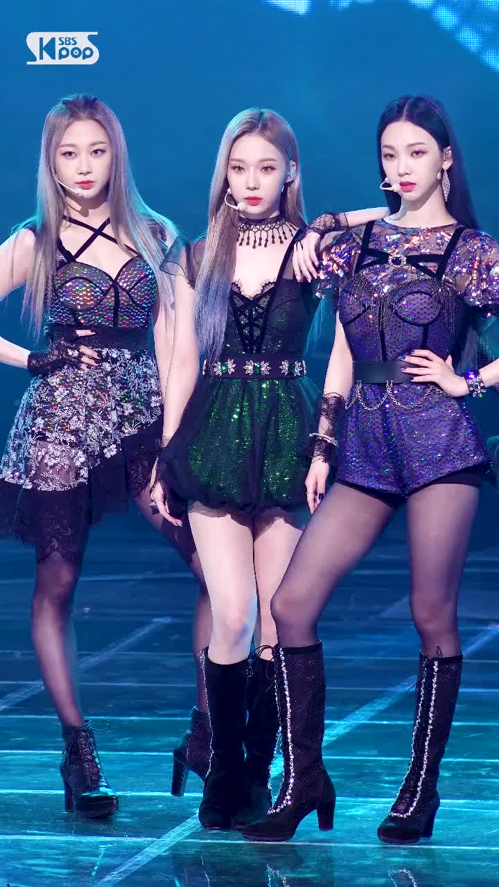 ♥201129 Black Mamba 【人歌】