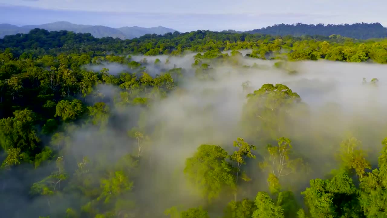 1_01-【草场】小小世界2.Tiny World Season2 01