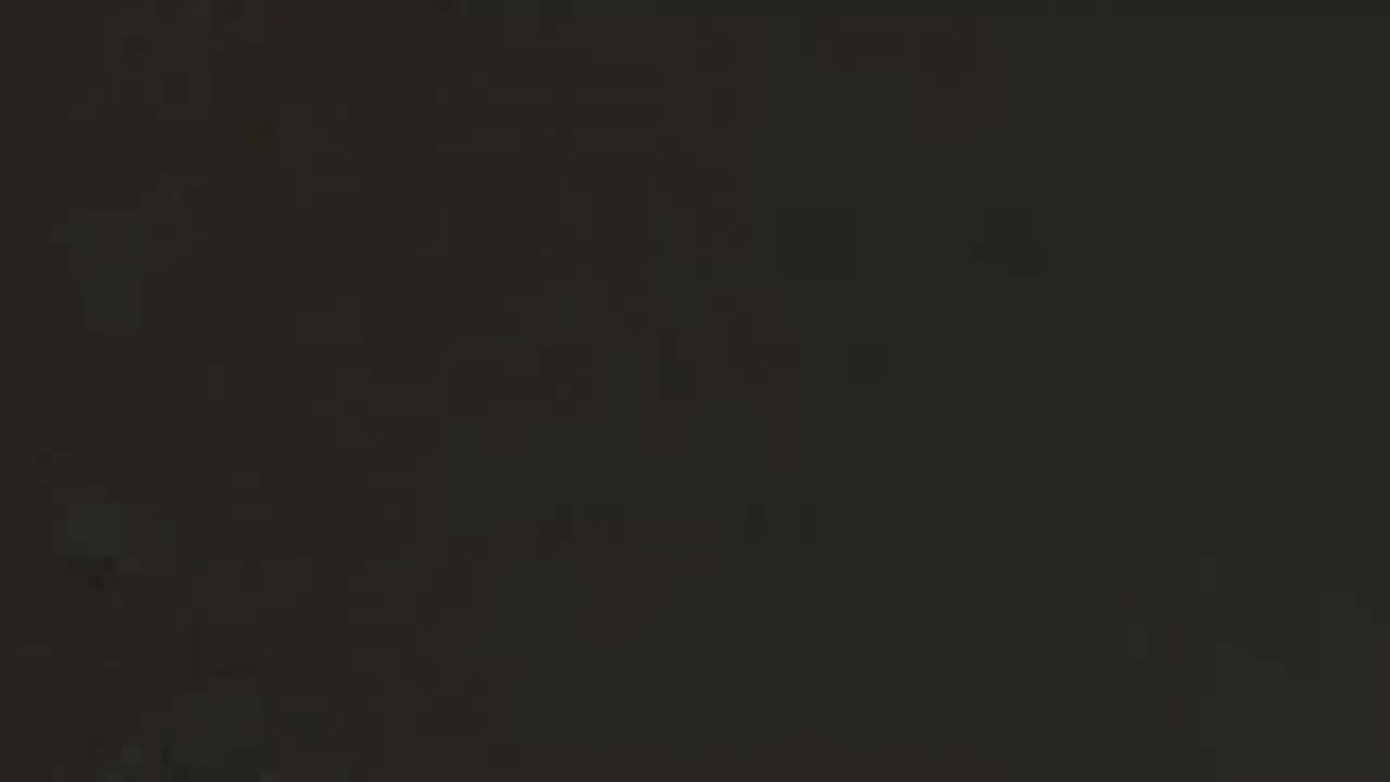 06.八极拳小架技击对练