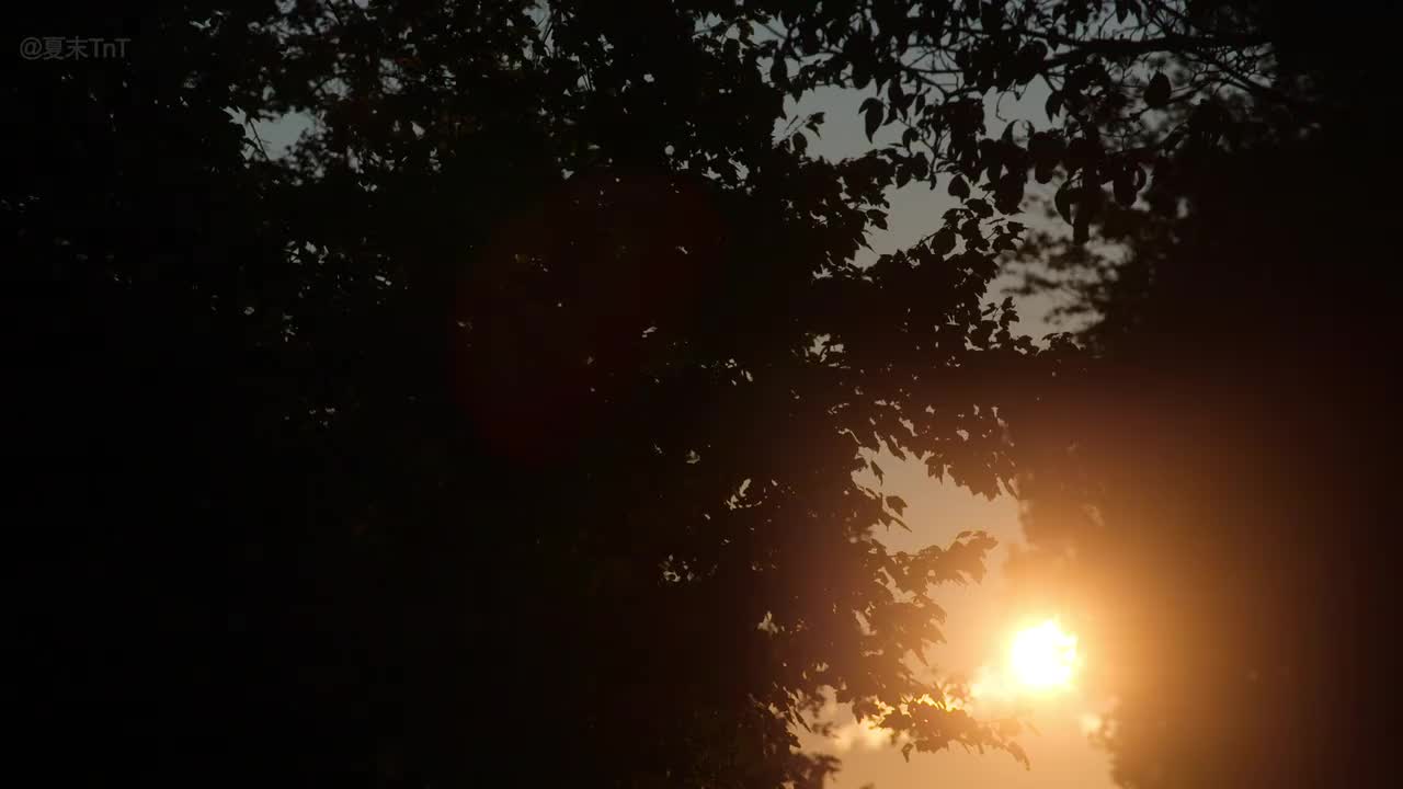 8. 一日胜四年