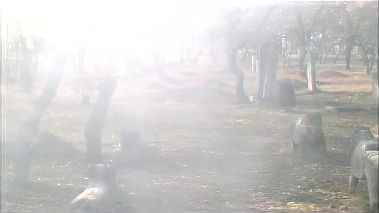 杜比音效-好了歌原唱