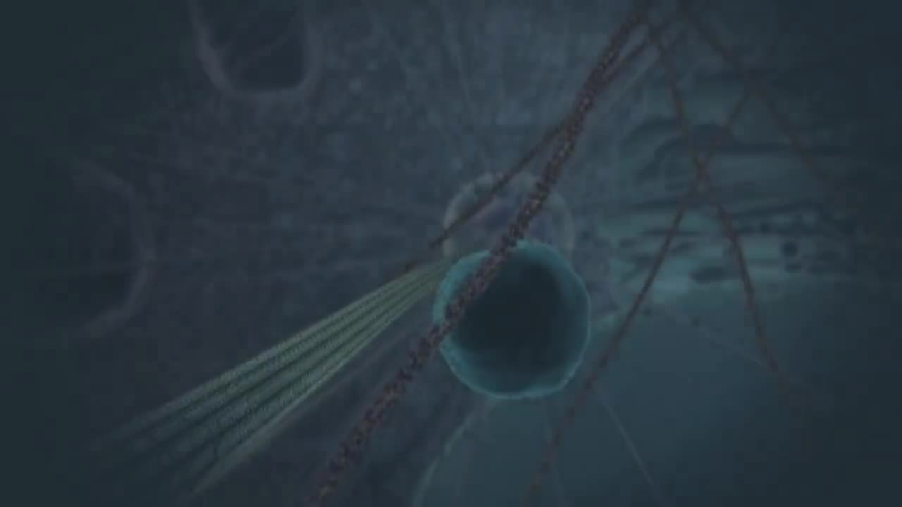 线粒体疾病是如何遗传的 9-How mitochondrial diseases are inherited