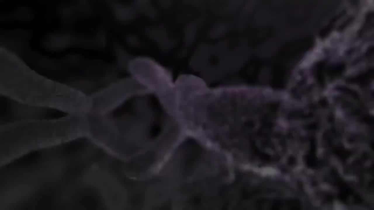 多囊卵巢综合征 79-Polycystic Ovary Syndrome PCOS Nucleus Health