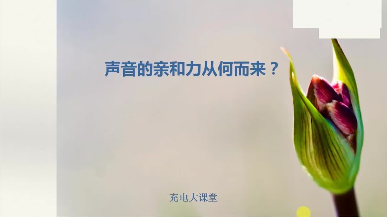 声音的亲和力从何而来