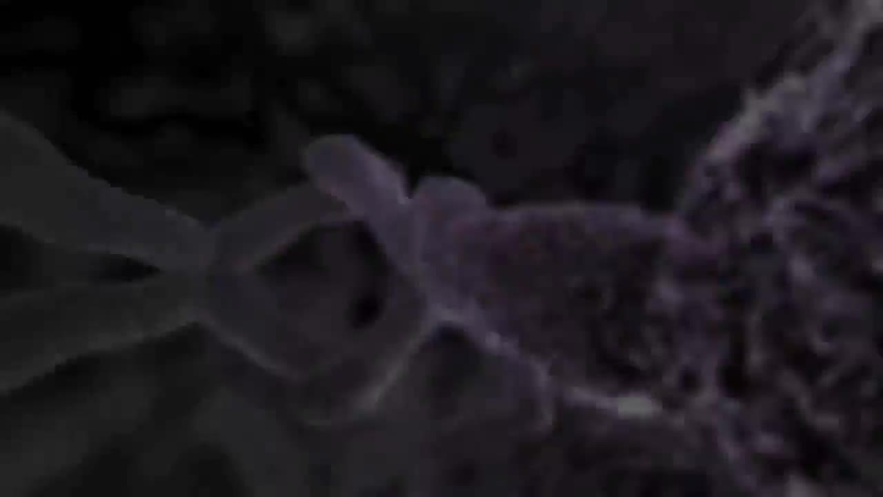 Кесарево сечение 64-Кесарево сечение