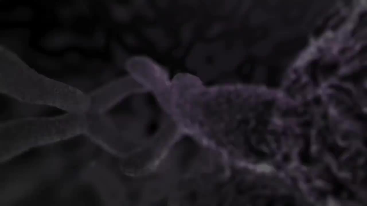 插管及机械通气(呼吸机) 73-Intubation & Mechanical Ventilation (Ventilator)