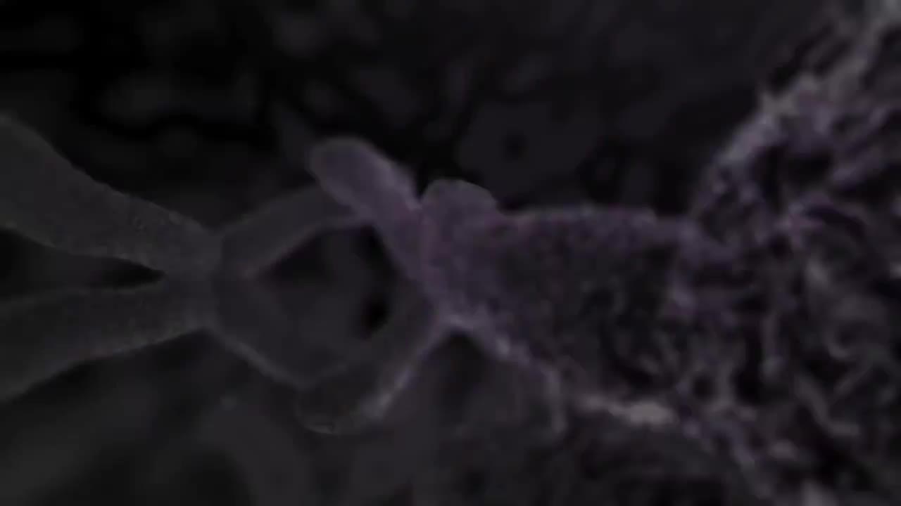 心力衰竭 92-Heart Failure