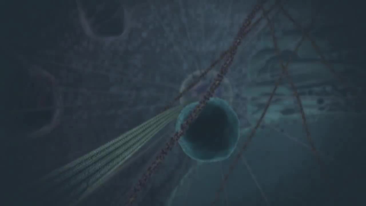 柠檬酸循环概述 4-Overview of the citric acid cycle