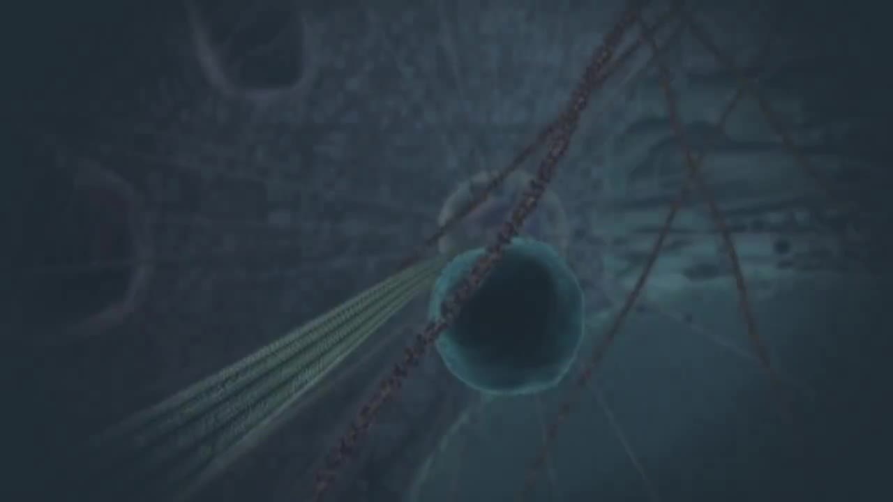 线粒体疾病简介 5-Introduction to mitochondrial disease