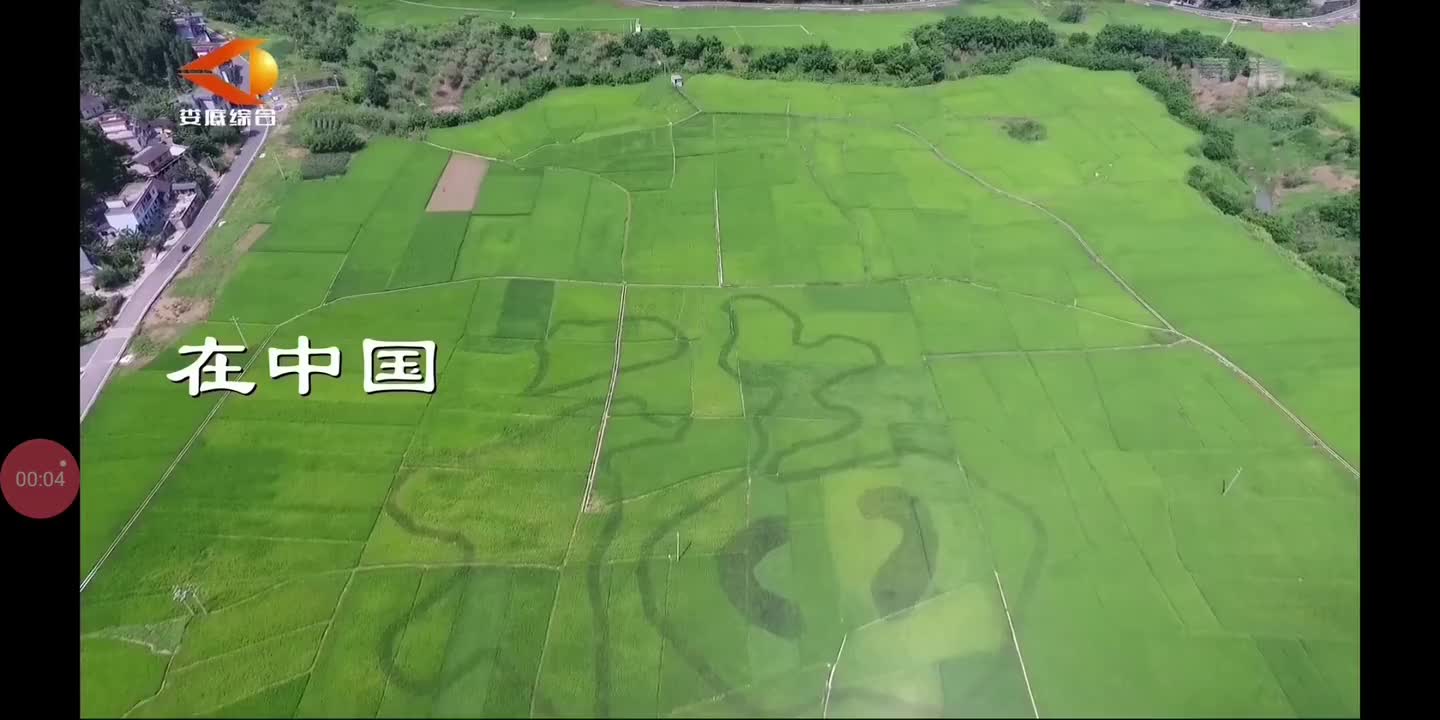 娄底综合频道