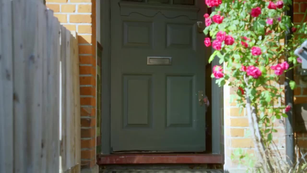 第2集：融入社会