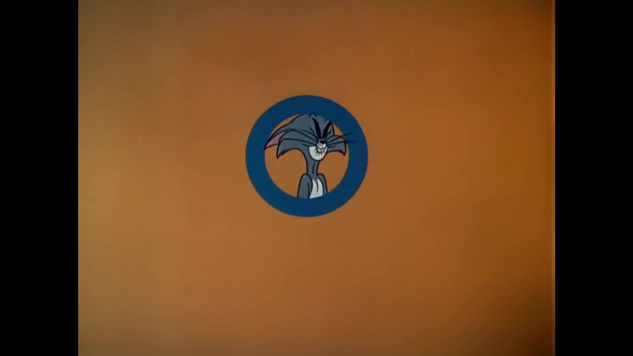 19-6 两只猫的故事（查克琼斯）