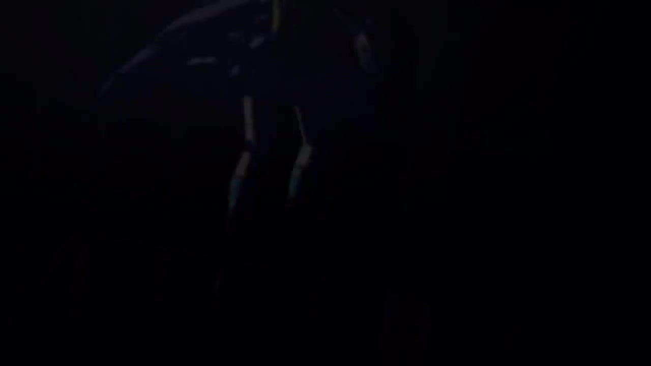 「剧情Live」はじまりのSignal