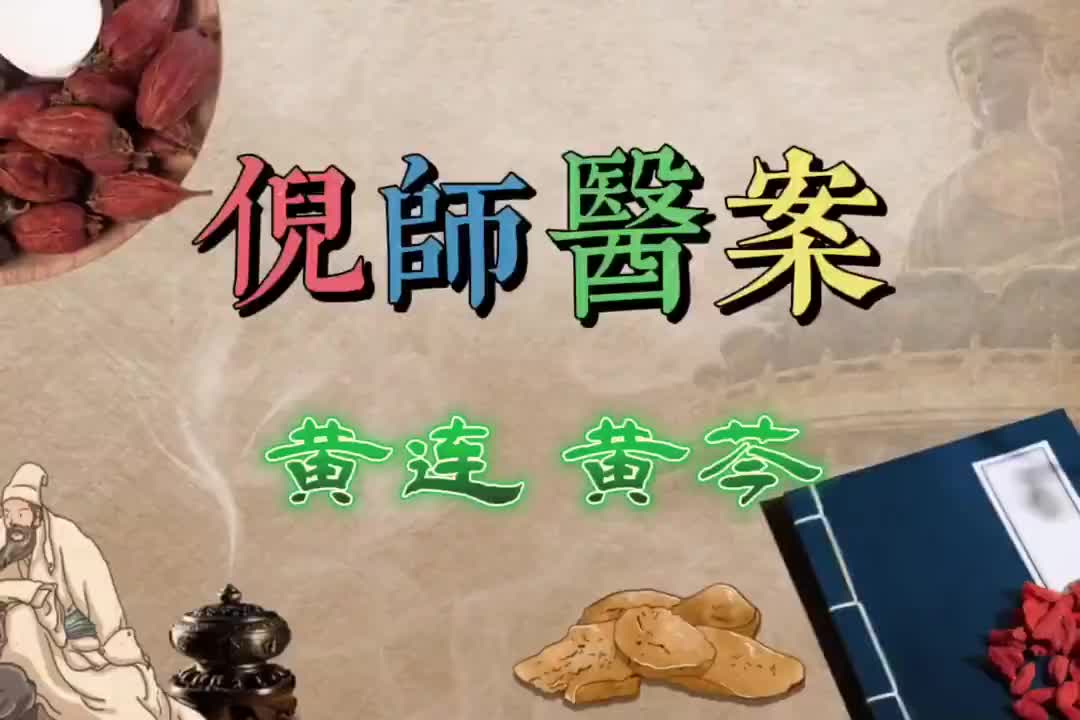37倪师医案--黄连_黄芩