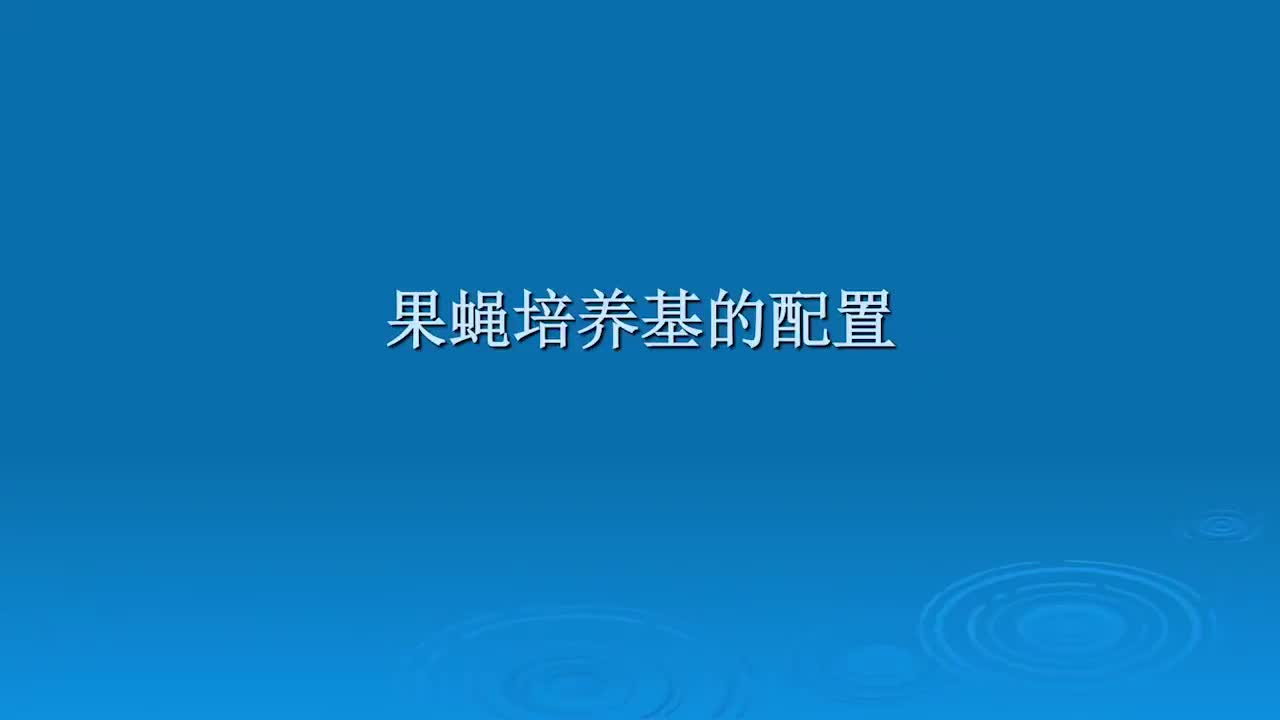 4.5.1-果蝇培养基的配制