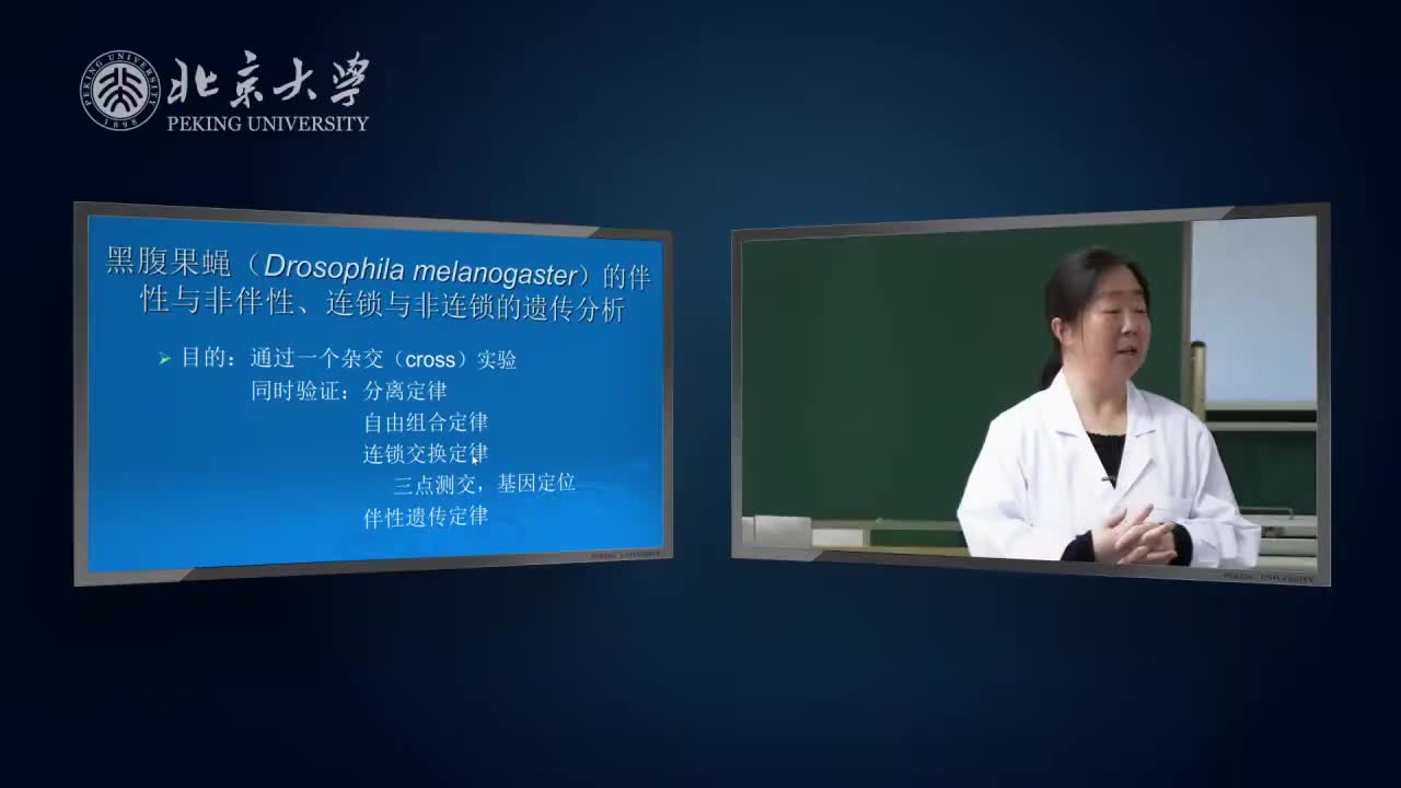 5.1.1-实验理论：黑腹果蝇伴性与非伴性连锁与非连锁的遗传分析