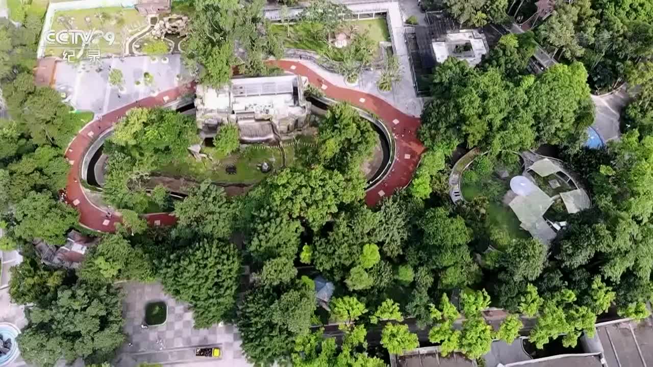 《奇趣动物园》第6集 重生与团聚