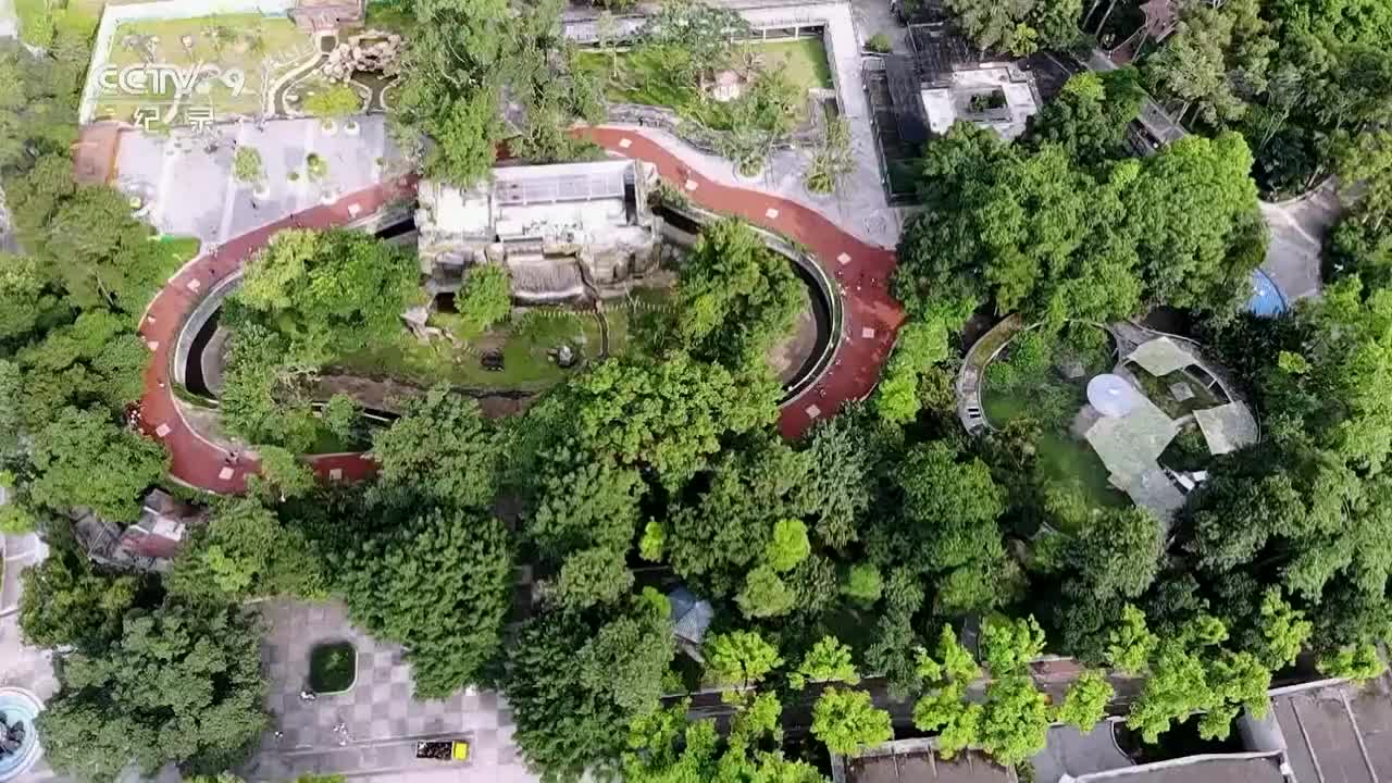 《奇趣动物园》第3集 玩具总动员