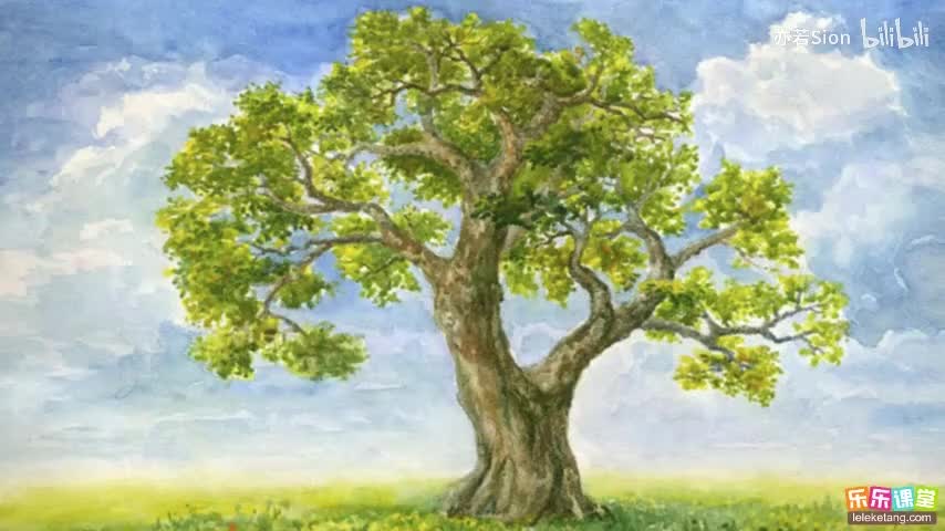 18. 植物的蒸腾作用