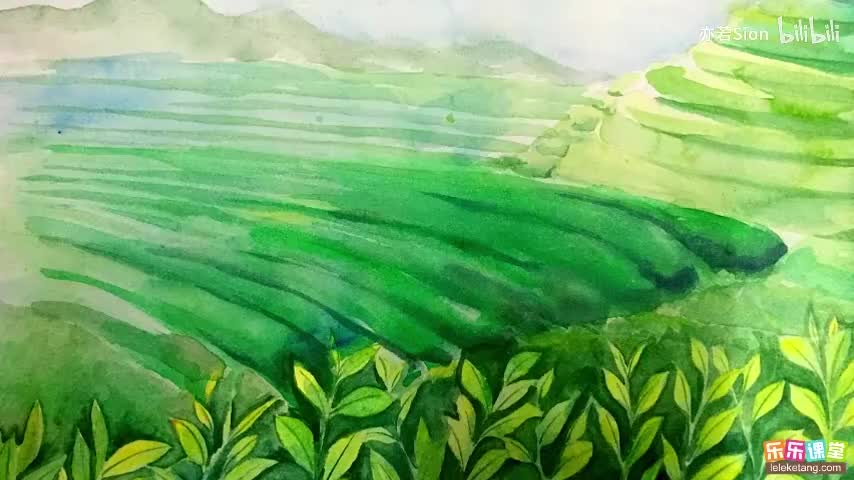 12. 植株的生长需要哪些营养物质