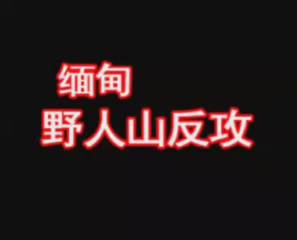 17、缅甸：野人山反攻