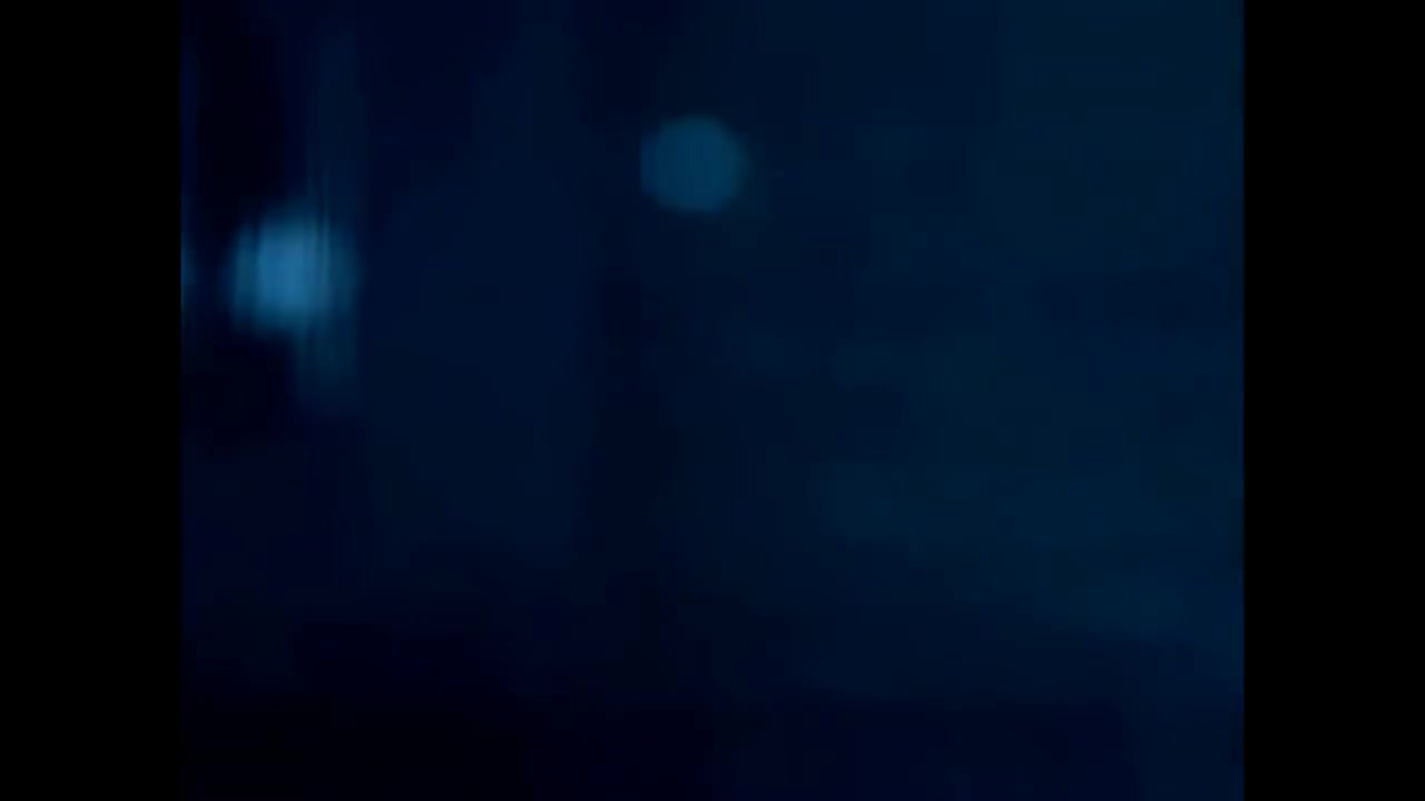 刘德华-他的女人