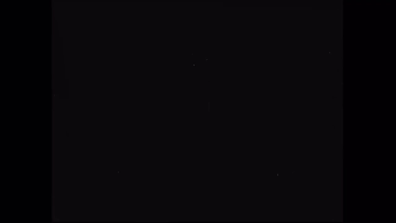 10.红脸猴