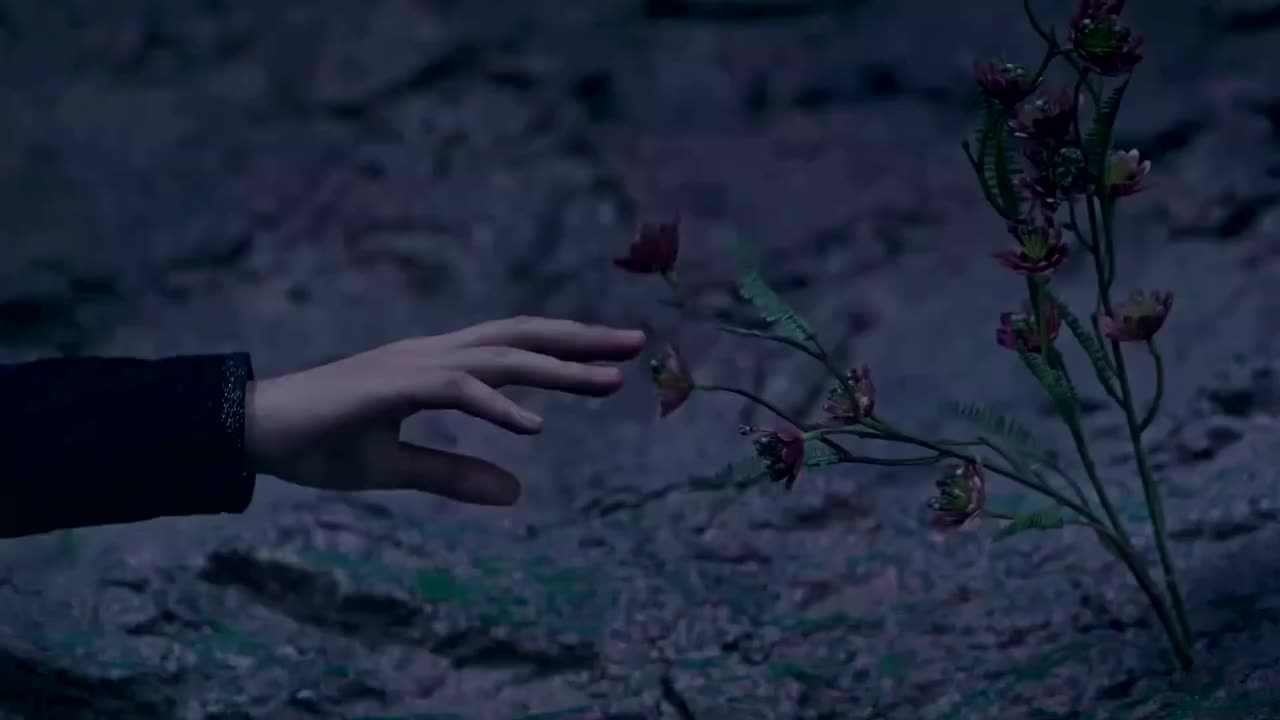 17、把脉、药罐、上药、药瓶、握床上的手