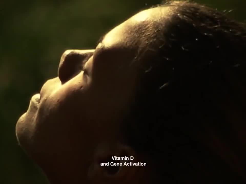 阳光维生素 6-Sunshine Vitamin (2016) by Drew Berry wehi.tv