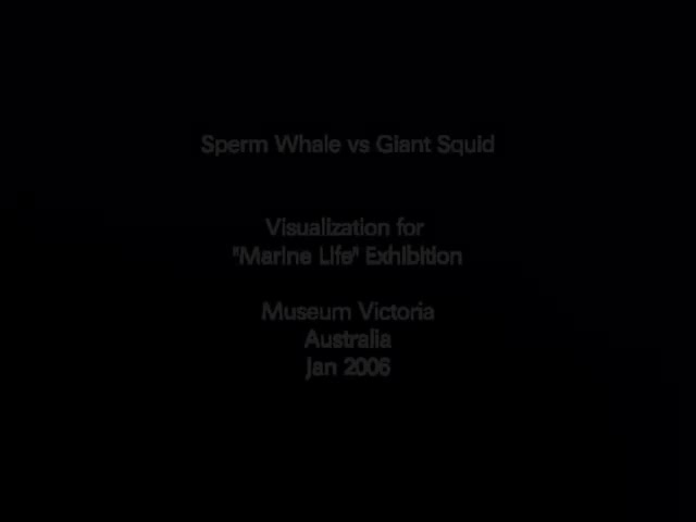 鲸鱼和鱿鱼 42-Whale vs Squid