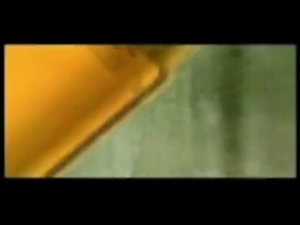 流行主教 【4th 曹操】