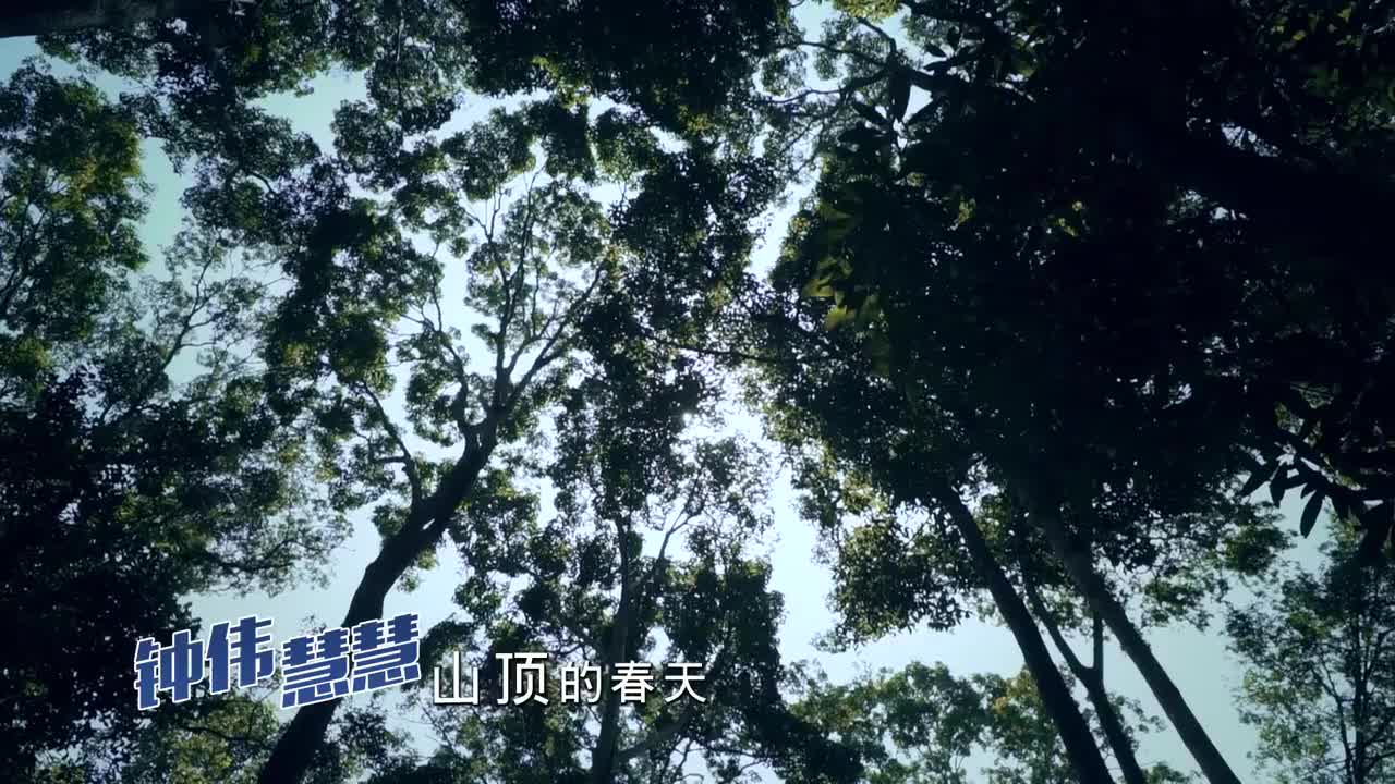 04. 山顶的春天 (陈慧慧合唱)