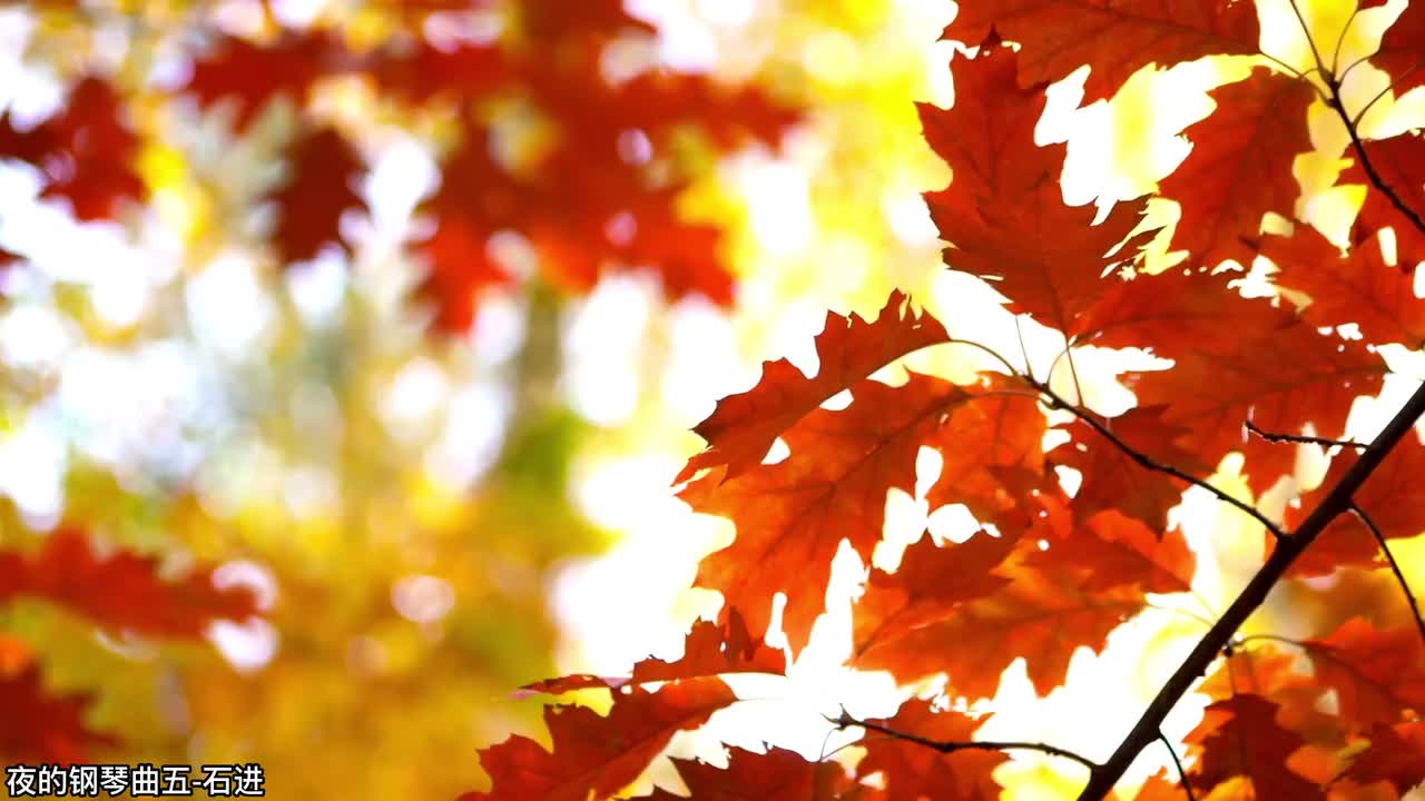 10.夜的钢琴曲五-石进