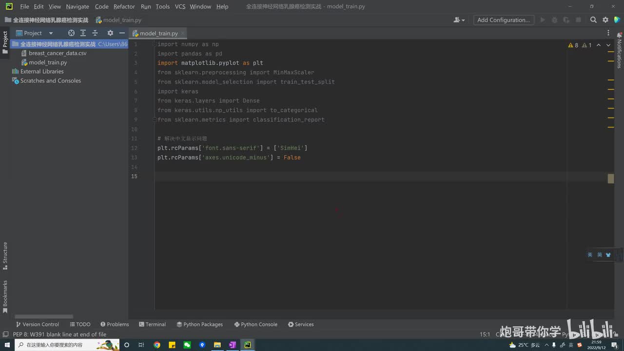 4.11、全连接神经网络实战---数据预处理