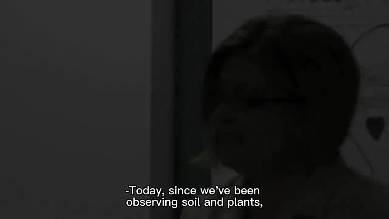 小学课程（三）