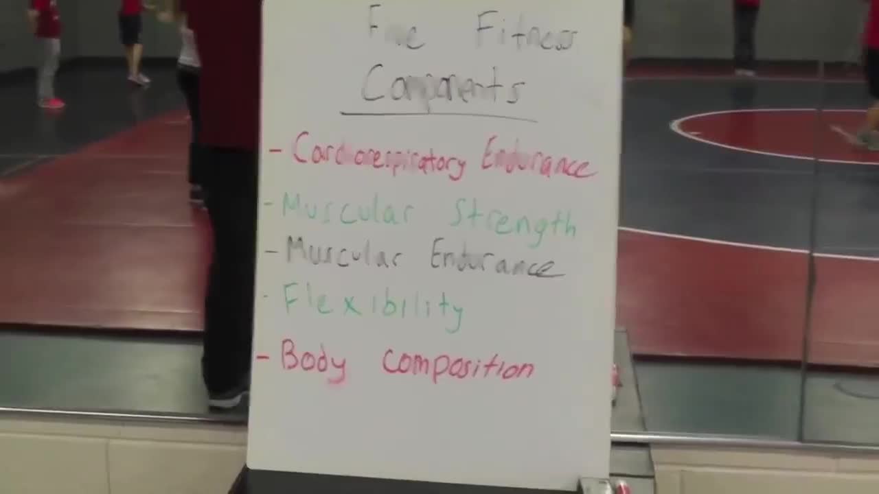 初中课程（四）