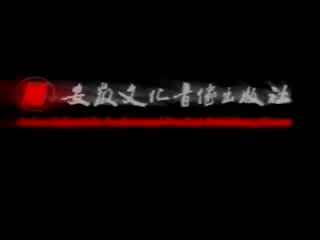 皇爷私访陈州城1