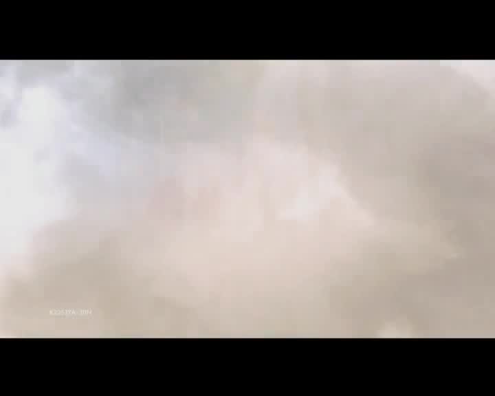 KFC培根鸡腿燕麦堡-双重世界篇