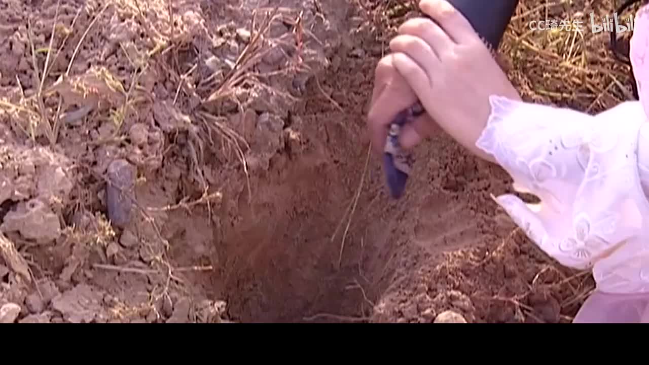 众人撮合小鱼儿苏樱，江别鹤小红叶暗中联盟