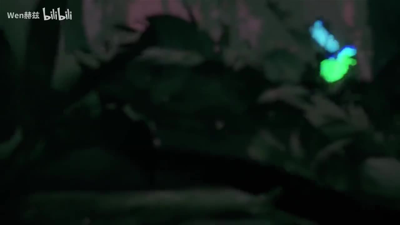 百炼嘉维尔EP动态