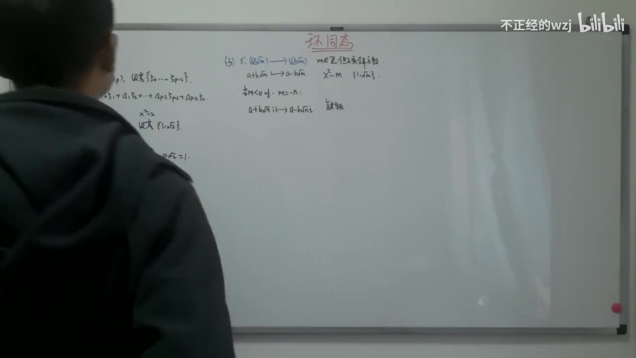 128环同态：性质