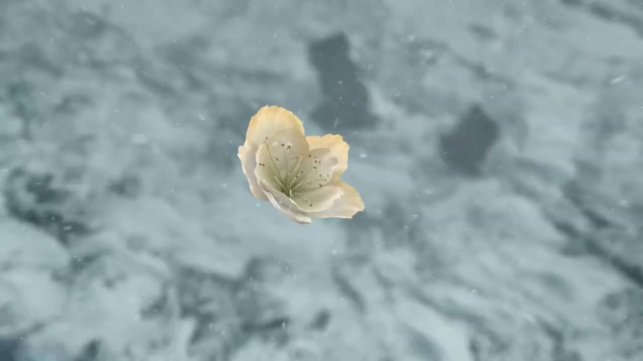 三星 W23 5G 系列广告