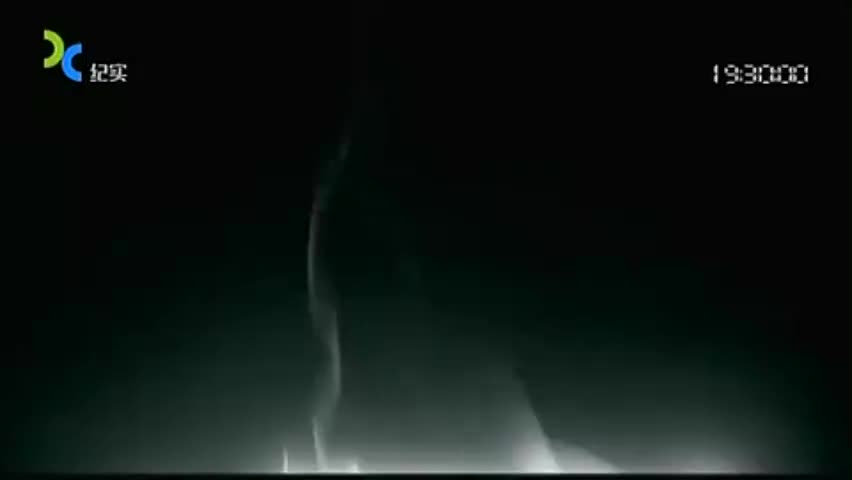 《大师》92 吴昌硕（上）