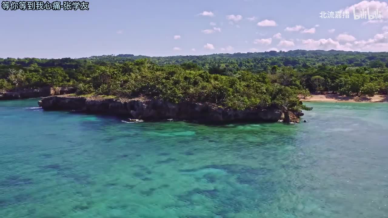 28.等你等到我心痛-张学友