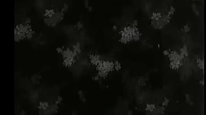 河南豫剧 花木兰 全剧 常香玉_高清