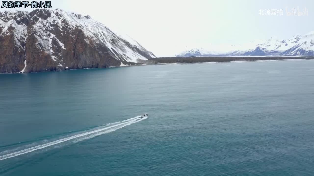 41.风的季节-徐小凤