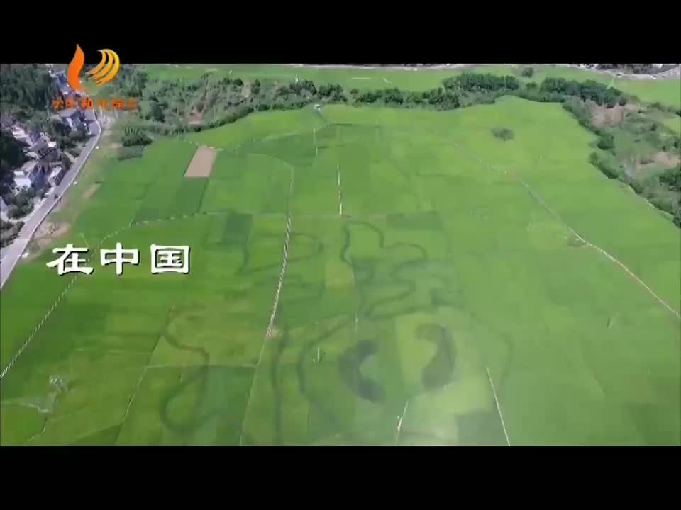 泌阳新闻综合频道